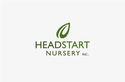 Headstart Nursery Logo