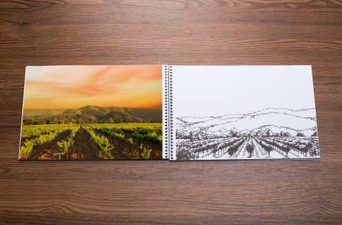 Solis Winery Vineyard Sketch