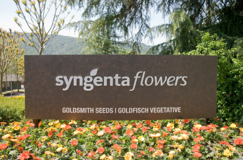 Syngenta Flowers Sign